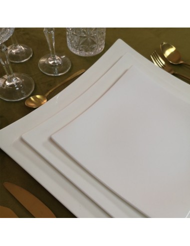 Square plate 31.5×31.5 cm Mod. Extreme (presentation)