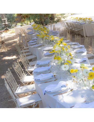 Greenhouse Chair